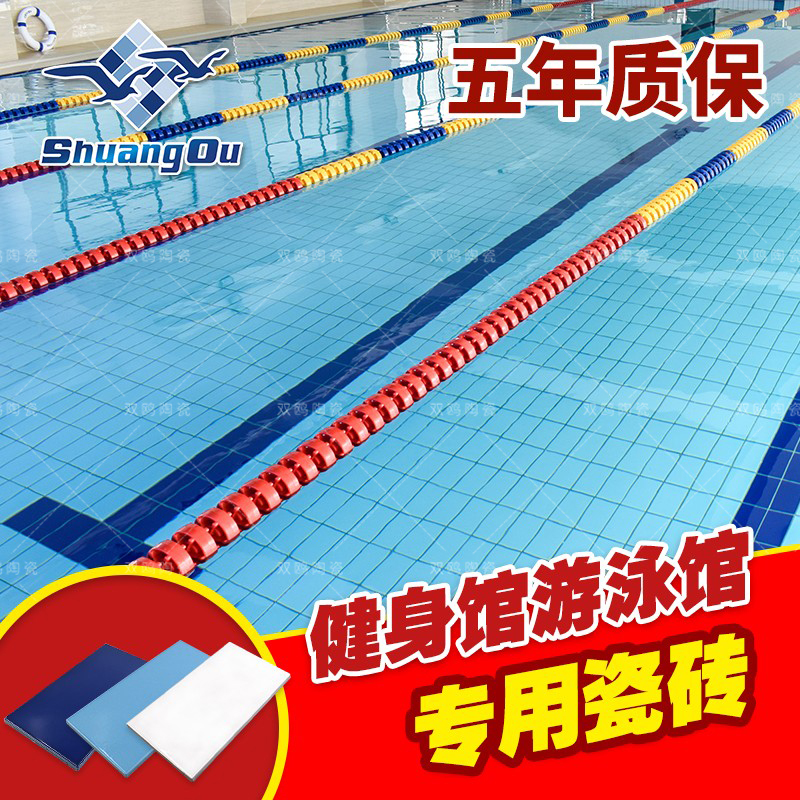 双鸥专业工厂防滑蓝色体育健身馆学校比赛竞赛水池专用游泳池瓷砖