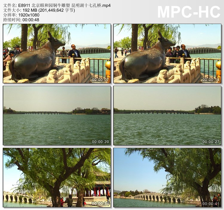 北京颐和园铜牛雕塑昆明湖十七孔桥 视频实拍素材