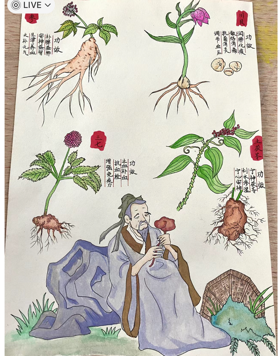 华佗手抄报中草药图片介绍图片我和中医药的故事历史人物简笔画