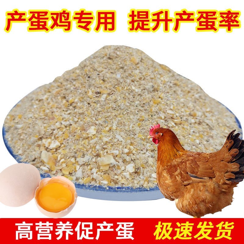 鸡饲料中大鸡5斤100斤下粮食农家散养鸡鸭鹌鹑母鸡宠物鸡食食粮