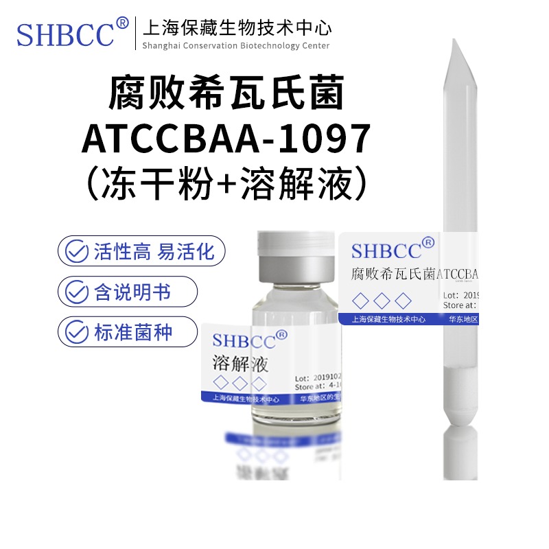 腐败希瓦氏菌ATCCBAA-1097LB液体固体琼脂培养基试管甘油菌种供应