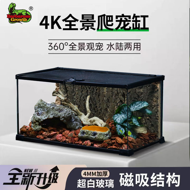 爬宠饲养箱生态雨林造景玻璃缸蜥蜴守宫角蛙树蛙寄居蟹蜘蛛饲养盒