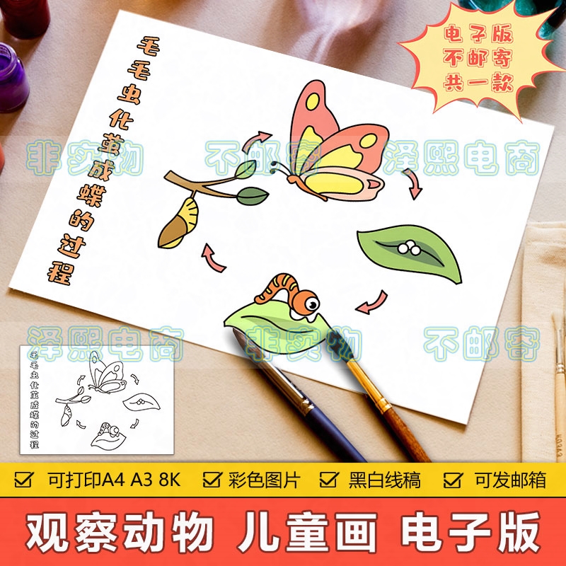 观察动物昆虫儿童画手抄报模板小学生毛毛虫变成蝴蝶的过程简笔画