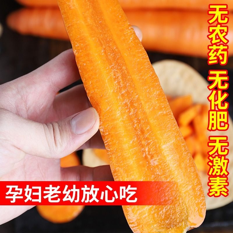 红萝卜新鲜胡萝卜水果萝卜脆甜生吃红心沙地罗卜农家蔬菜煲汤