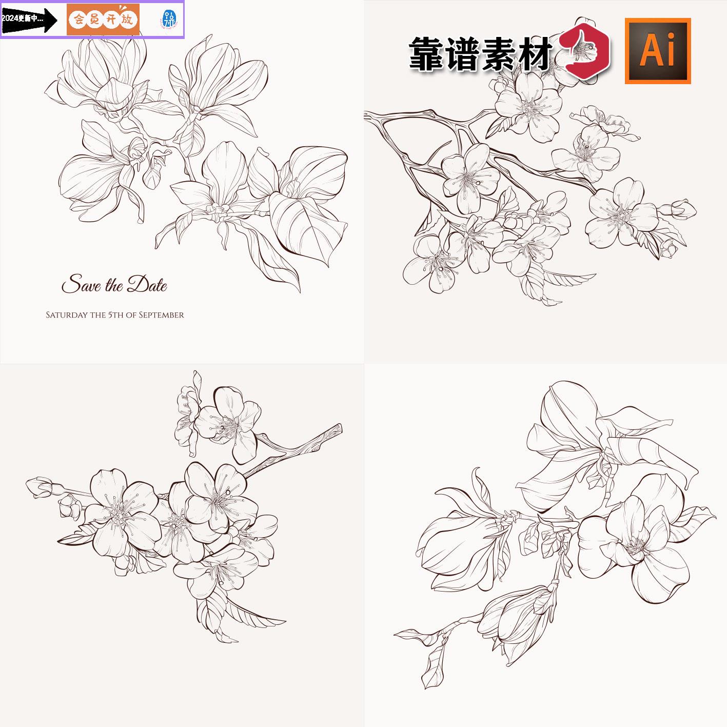 手绘线描白描素描线条玉兰花梅花中国风鲜花插画AI矢量设计素材