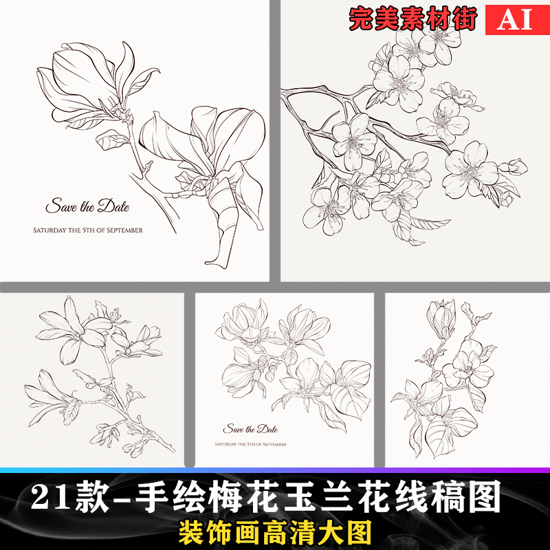 手绘素描白描线描线条玉兰花梅花中国风鲜花插画AI设计矢量素材