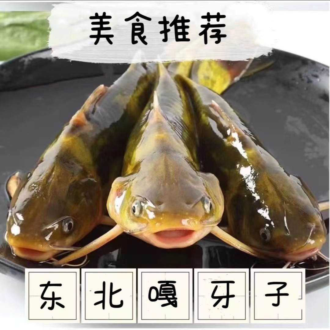 【顺丰快递】原生态东北冷水鱼嘎牙子一份3斤装多种食用方式紧实