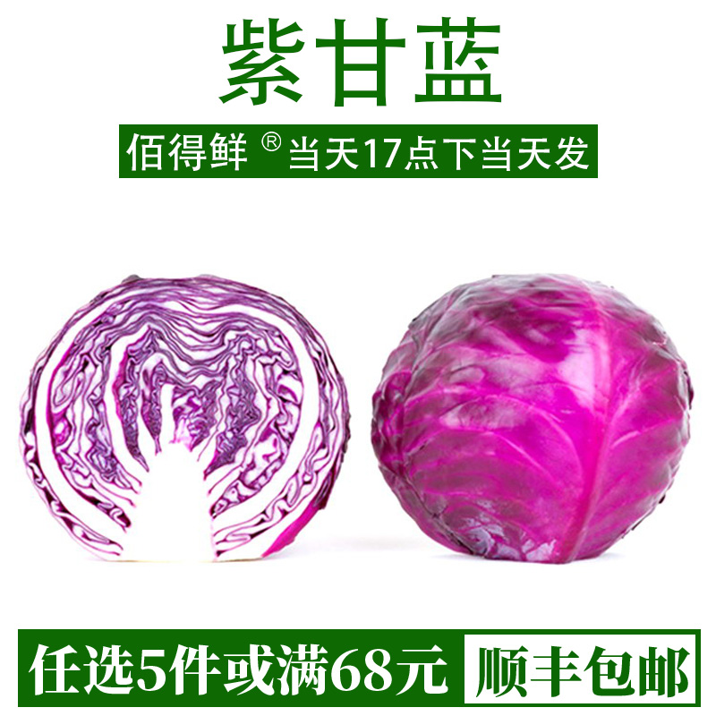 紫甘蓝1000g装紫包菜球生菜新鲜西餐蔬菜沙拉食材生菜即食橄榄菜