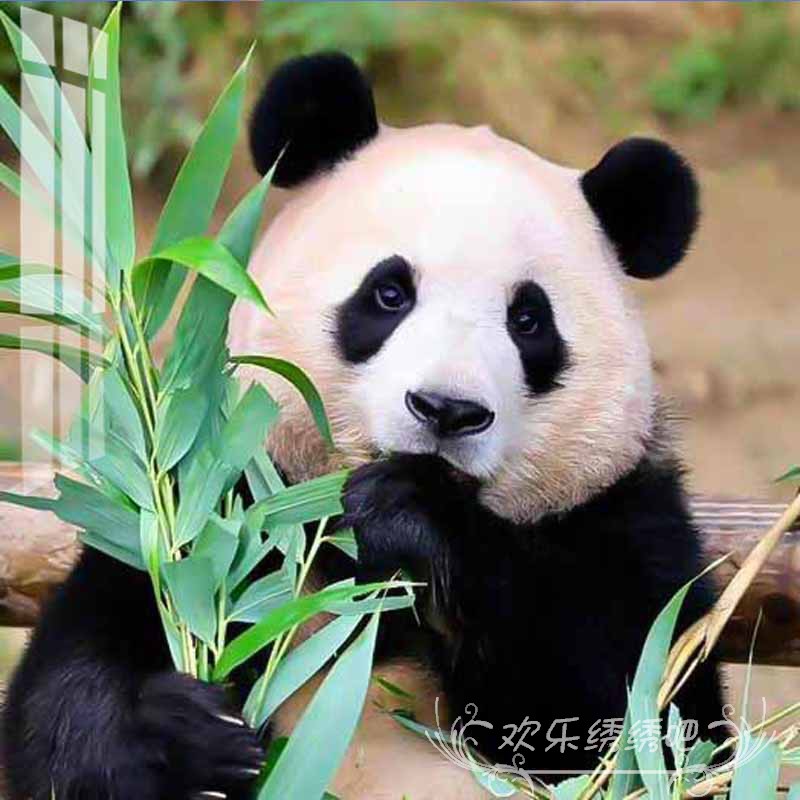 十字绣2024新款满绣客餐厅熊猫可爱动物高颜值手工自己绣卧室简单