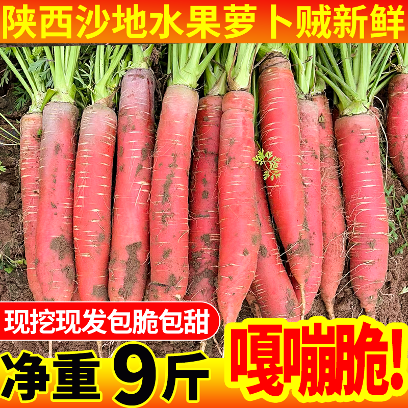 陕西沙地红萝卜农家红心胡萝卜新鲜带泥甜脆水果型老品种即食蔬菜