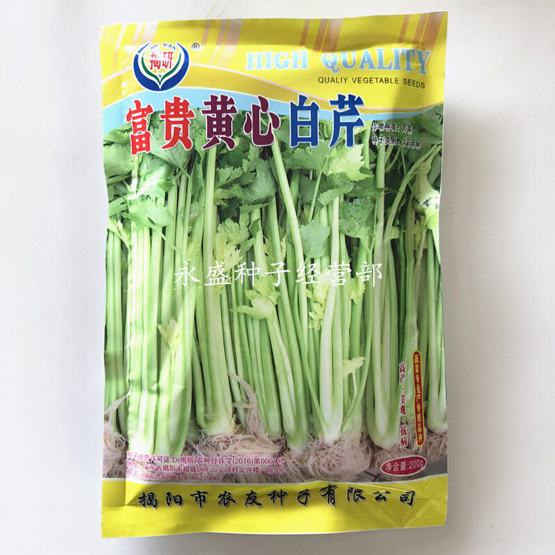 芹菜种子 富贵黄心种子种子芹菜白白芹  黄心芹菜种蔬菜种子200g