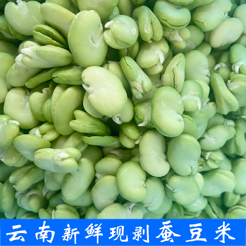 蚕豆米 云南特产蔬菜现摘去皮绿心嫩青胡豆米蚕豆新鲜罗汉豆角仁