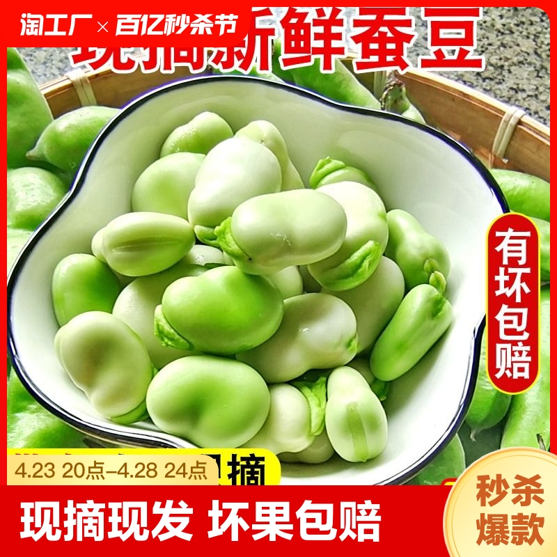 云南新鲜蚕豆5斤农家带壳生本地罗汉兰花胡豆青豆荚蔬菜包邮疏菜