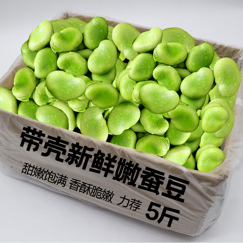 云南新鲜蚕豆5斤农家带壳生本地罗汉兰花胡豆青豆荚蔬菜整箱包邮