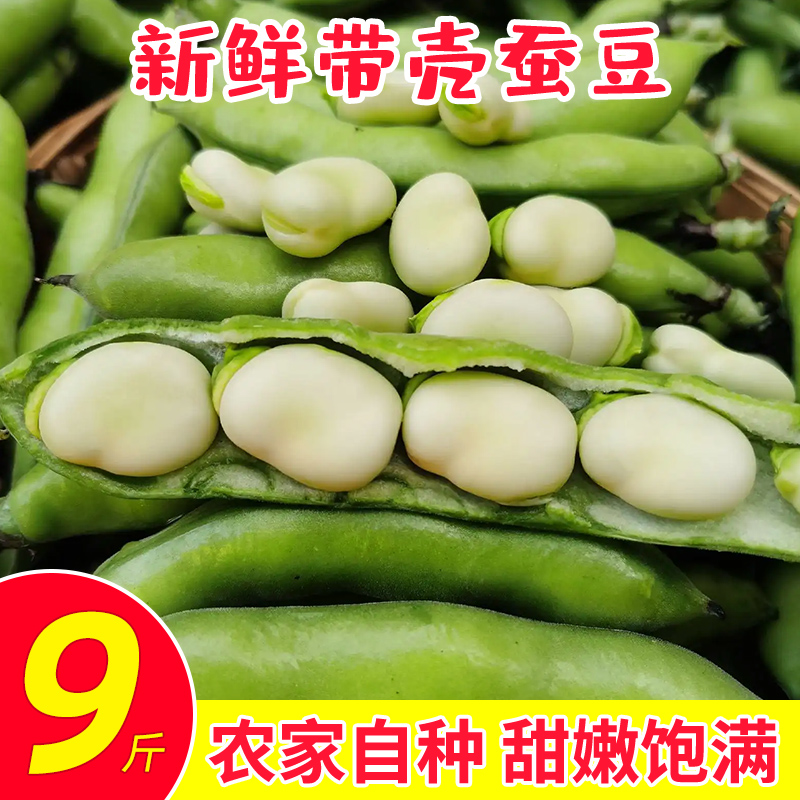 四川农家新鲜生大绿心带壳蚕豆米嫩胡罗汉豆角9斤青豆荚蔬菜现摘