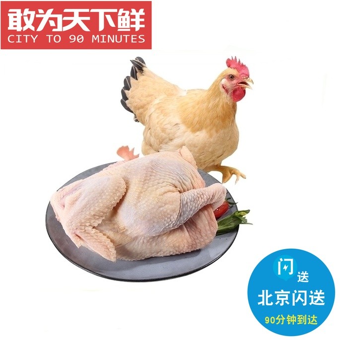 2.7-3斤 北京闪送 广东温氏清远鸡 黄油鸡 新鲜冷冻 鸡肉香嫩皮薄