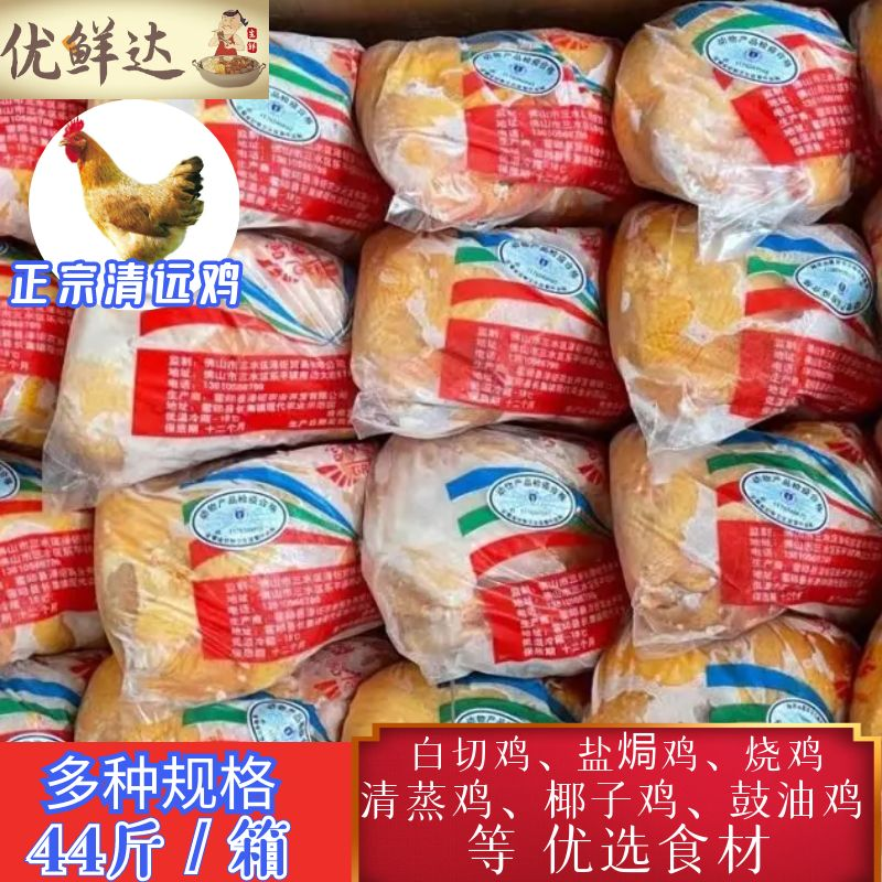 广东清远鸡商用宫润皇走地鸡三黄鸡冷冻新鲜整箱44斤