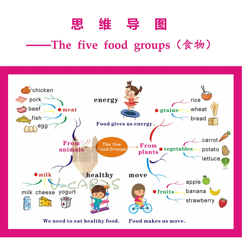 思维导图food食物主题英语教具大卡教室装修装饰海报A3铜版350克