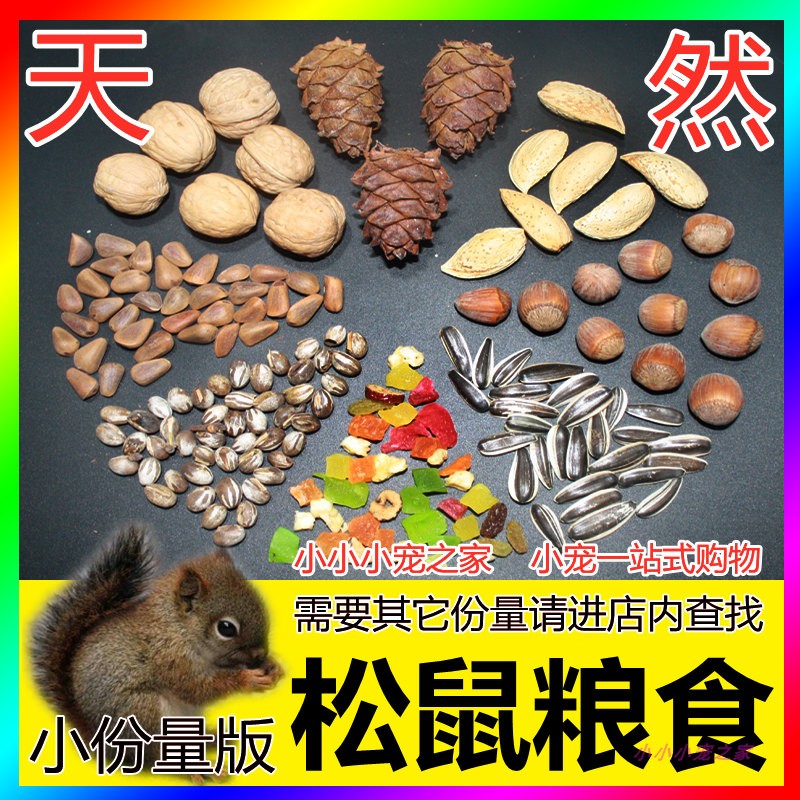 松鼠粮食专用主食幼崽吃的食物饲料营养主粮零食坚果松子松塔小