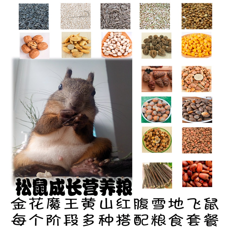 松鼠粮食专用的主粮零食幼崽粮飞鼠断奶吃的饲料坚果松子套餐用品