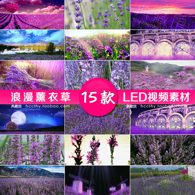 唯美紫色薰衣草花海 梦幻月色星空 高端婚礼LED舞台视频背景素材