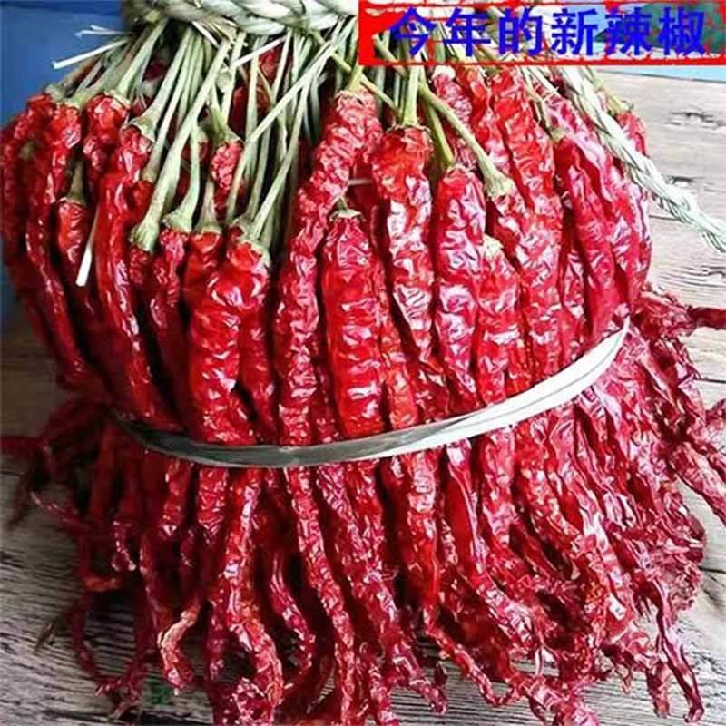 贵州辣椒品种
