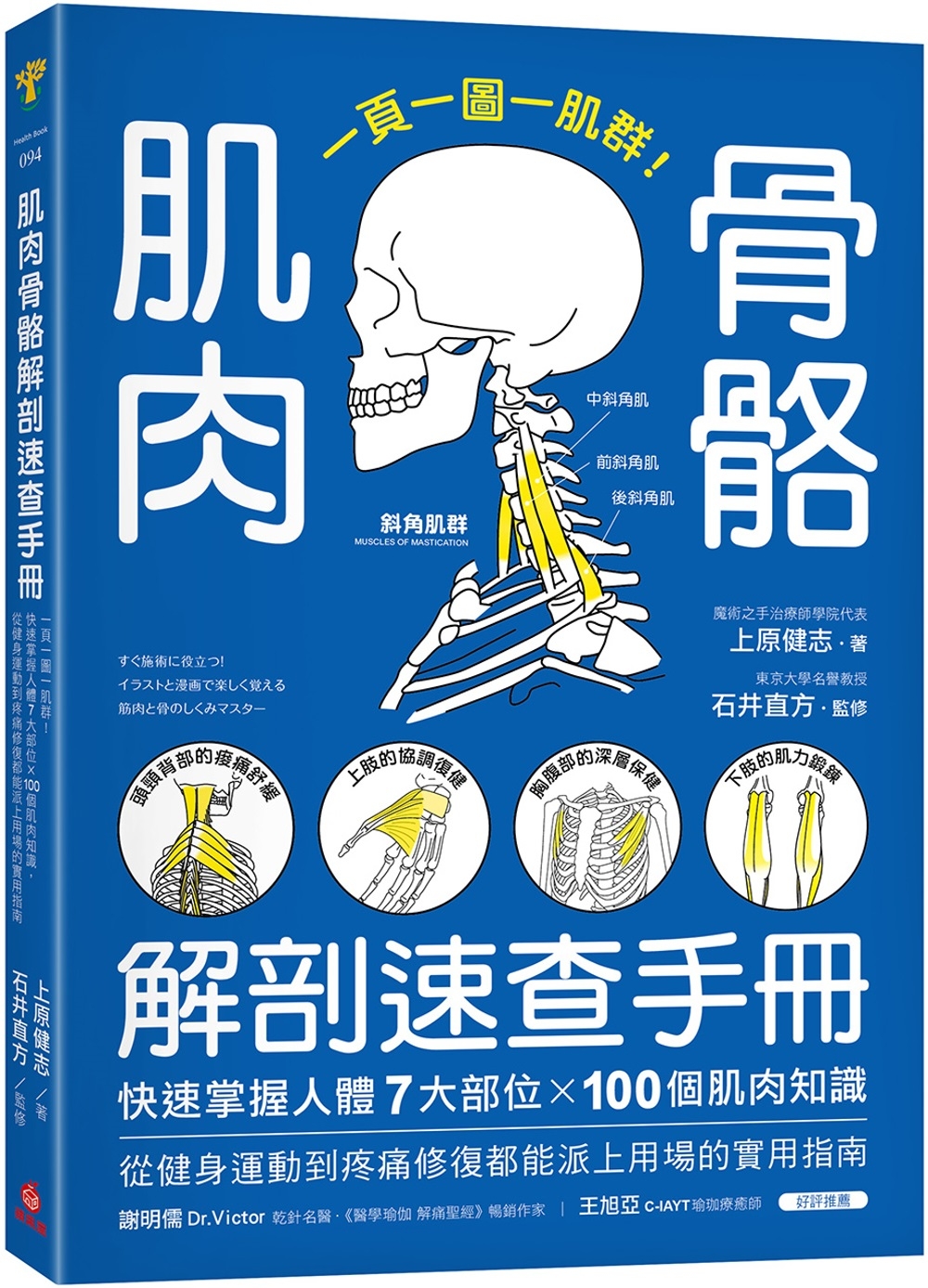 现货  肌肉骨骼解剖速查手册：一页一图一肌群！快速掌握人体7大部位x100个肌肉知识，从健身运动到疼痛修复都能派上用场