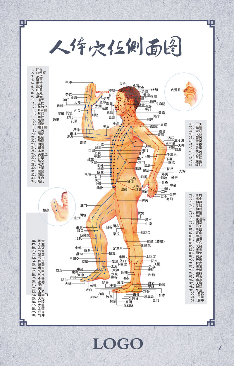 750薄膜海报印制展板喷绘写真78人体穴位侧面图