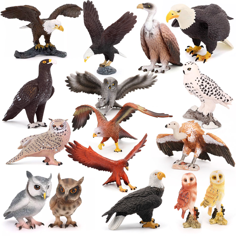 20种鹰玩具模型白头鹰红鹰猫头鹰老鹰秃鹫雪鸮仿真鸟动物摆件儿童