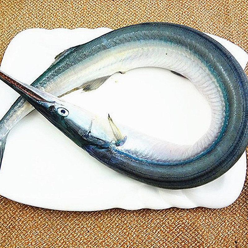 莱州湾针良鱼亮鱼鲜活即食马步鱼古董鱼500g绿骨鱼青条杆狼鱼港口