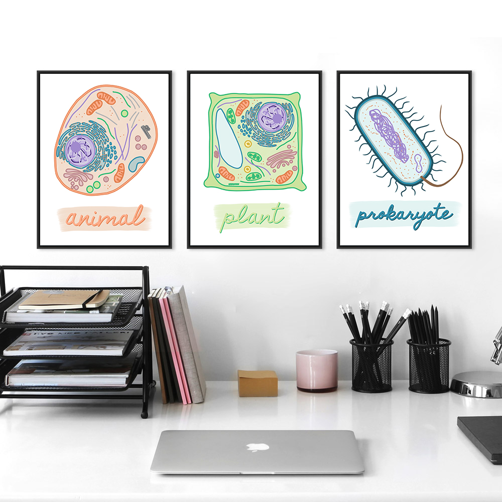 彩色显微镜动植物细胞装饰画现代简约生物学教室实验室办公室挂画