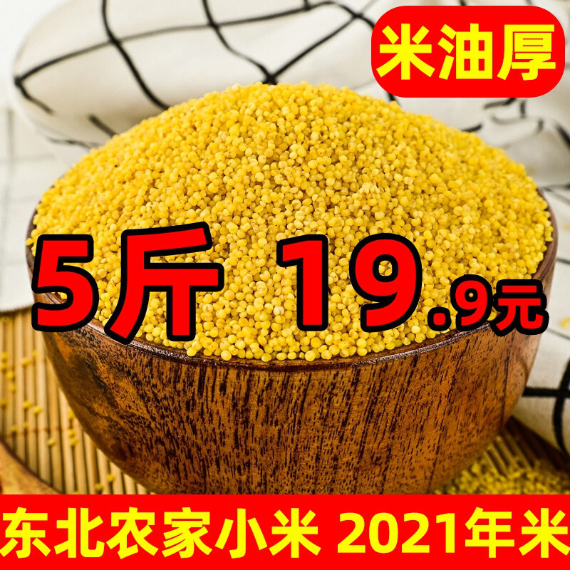 2022年东北黄小米特产农家杂粮食用宝宝米粥2023年新米脱壳黄小米