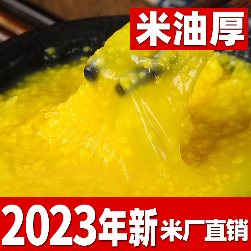 小米 小米杂粮黄小米新米2023年新食用脱壳东北小米粥小黄米10斤