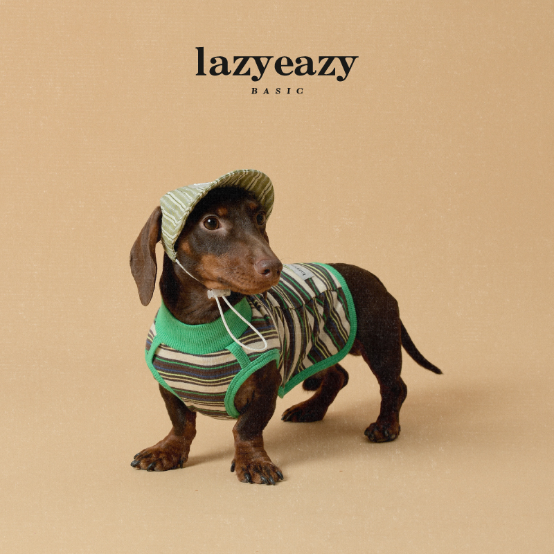 Lazyeazy宠物狗狗帽子露耳朵中小型犬雪纳瑞猫咪条纹鸭舌帽可爱