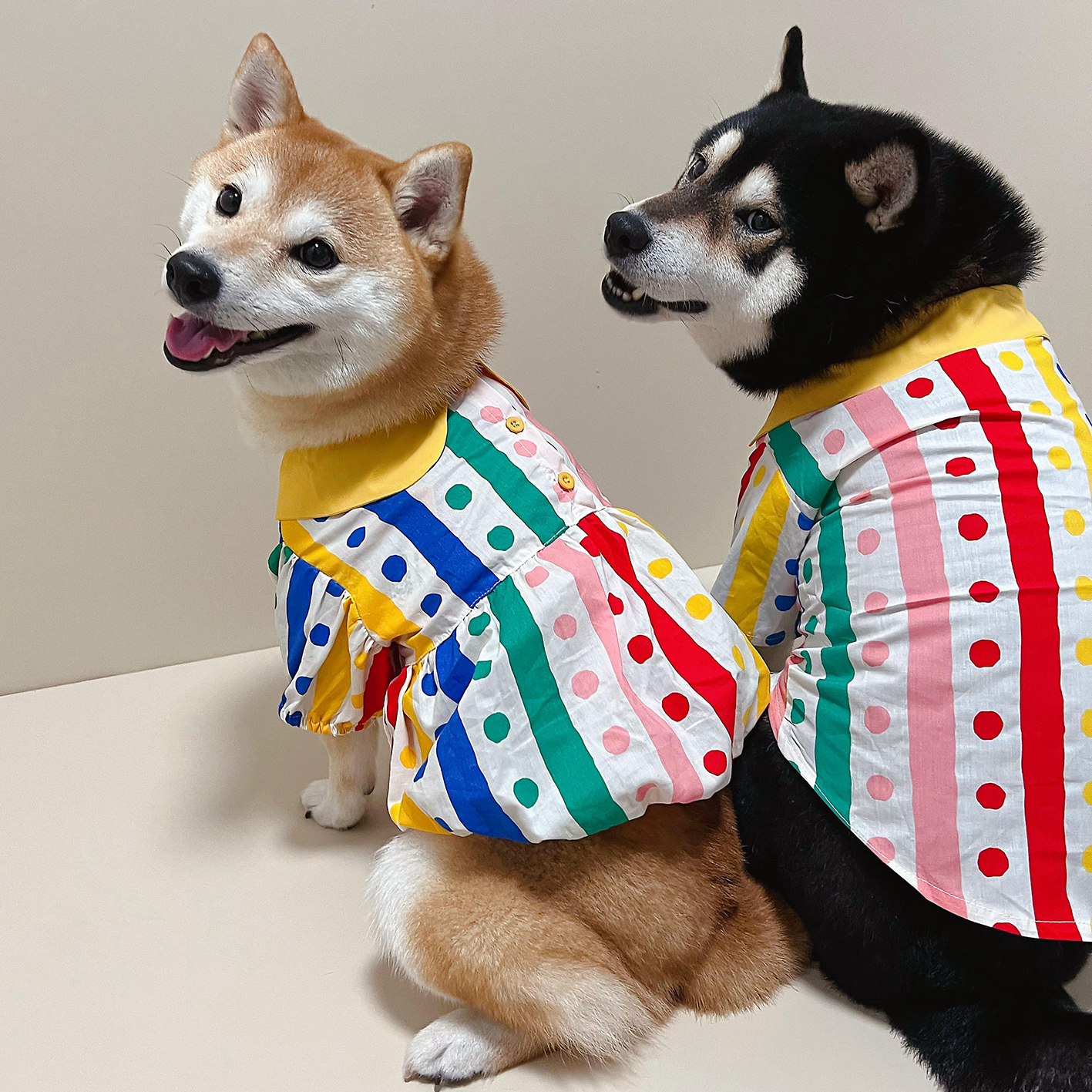 TawneyBear宠物狗狗衣服夏季薄款可爱柴犬雪纳瑞小体型波点连衣裙