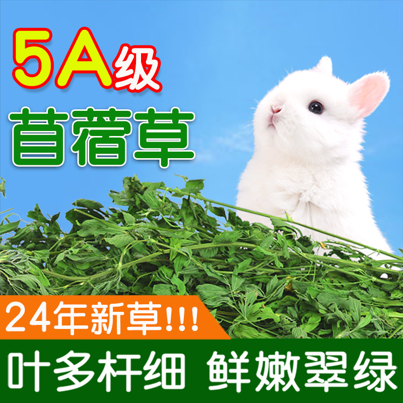 兔子食用草紫花苜蓿草豚鼠吃的兔粮饲料干牧草荷兰猪专用苜宿草料