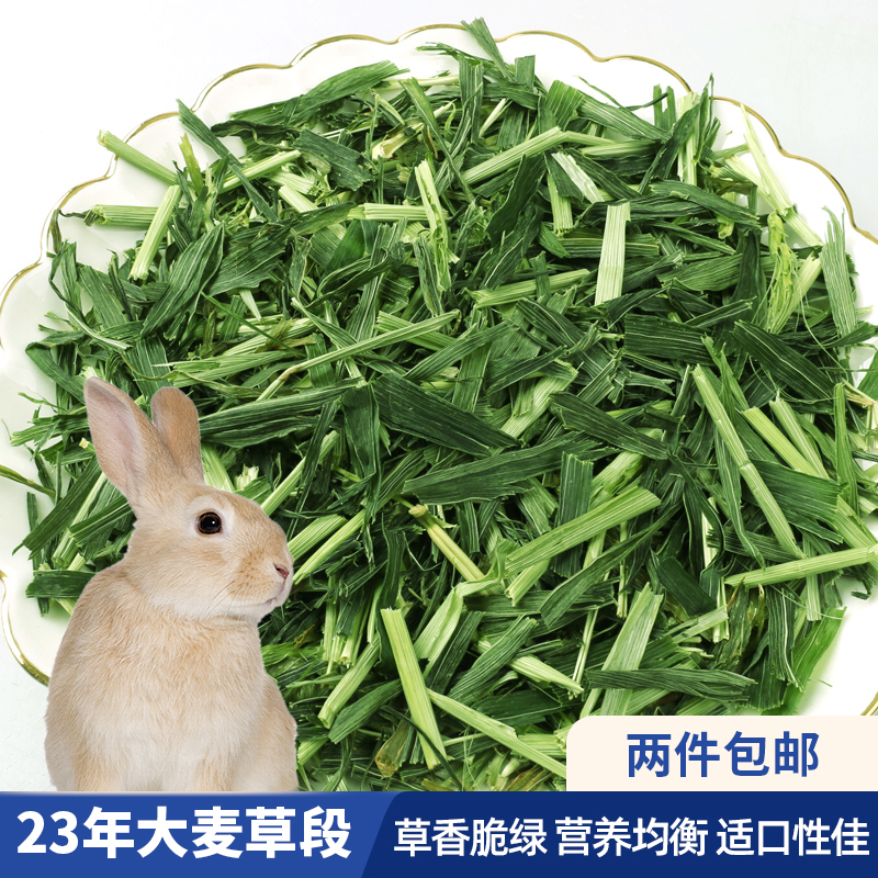 兔子大麦草段食用专用烘干草荷兰猪豚鼠草饲料幼兔粮龙猫吃的牧草