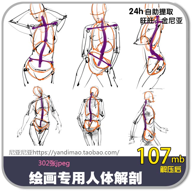 绘画人体结构解剖基础 手稿素材 动态肌肉 素描速写学习资料362