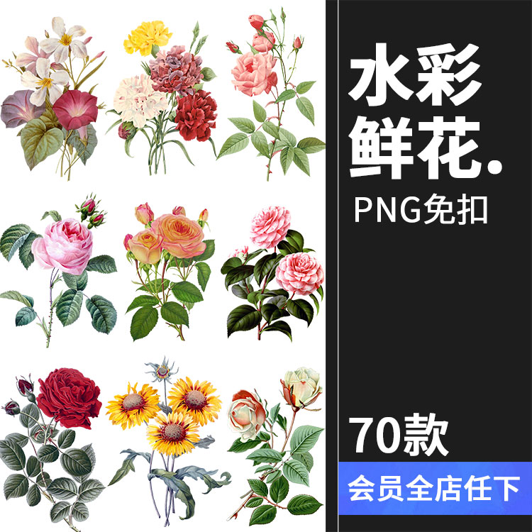 水彩写实风格花卉花朵各种鲜花向日葵植物PNG免抠图片PS设计素材