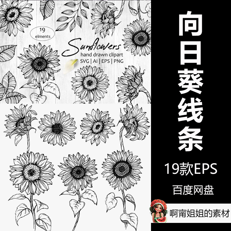 向日葵线条艺术手绘插画简笔画花卉EPS源文件设计素材黑白新品