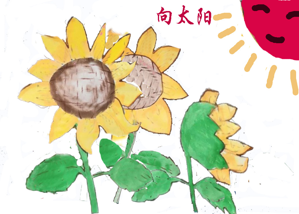 布贴画向日葵太阳花瓶中国风学生手工即时贴花卉定制