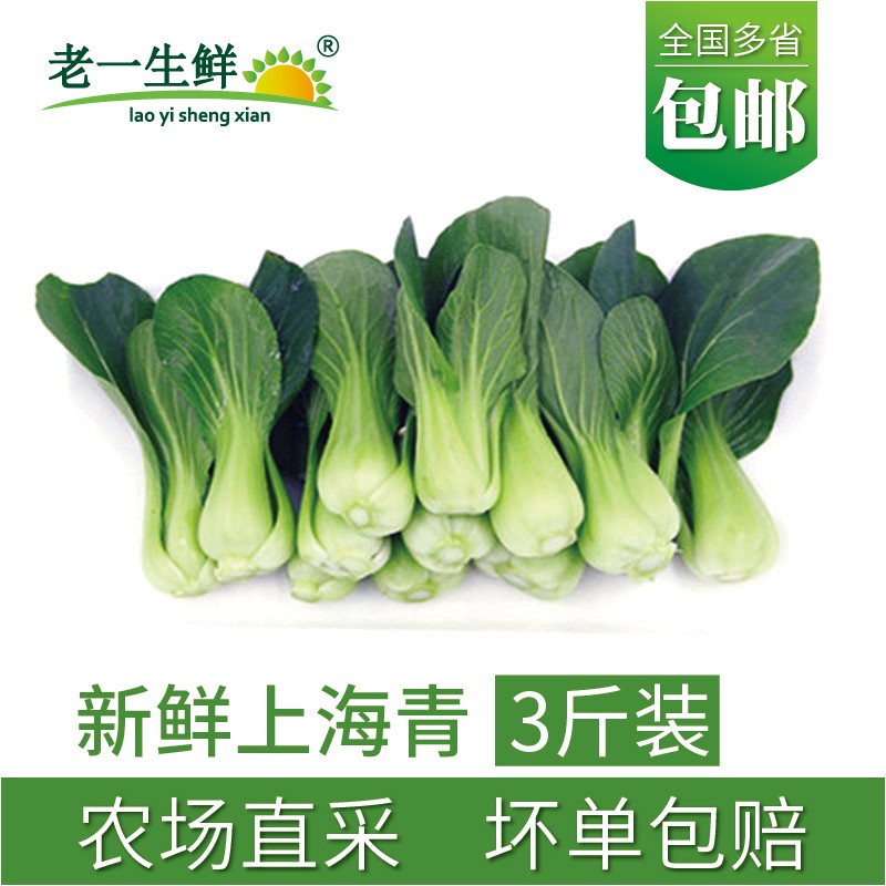 新鲜小青菜上海青 3斤多省包邮新鲜本地青菜蔬菜