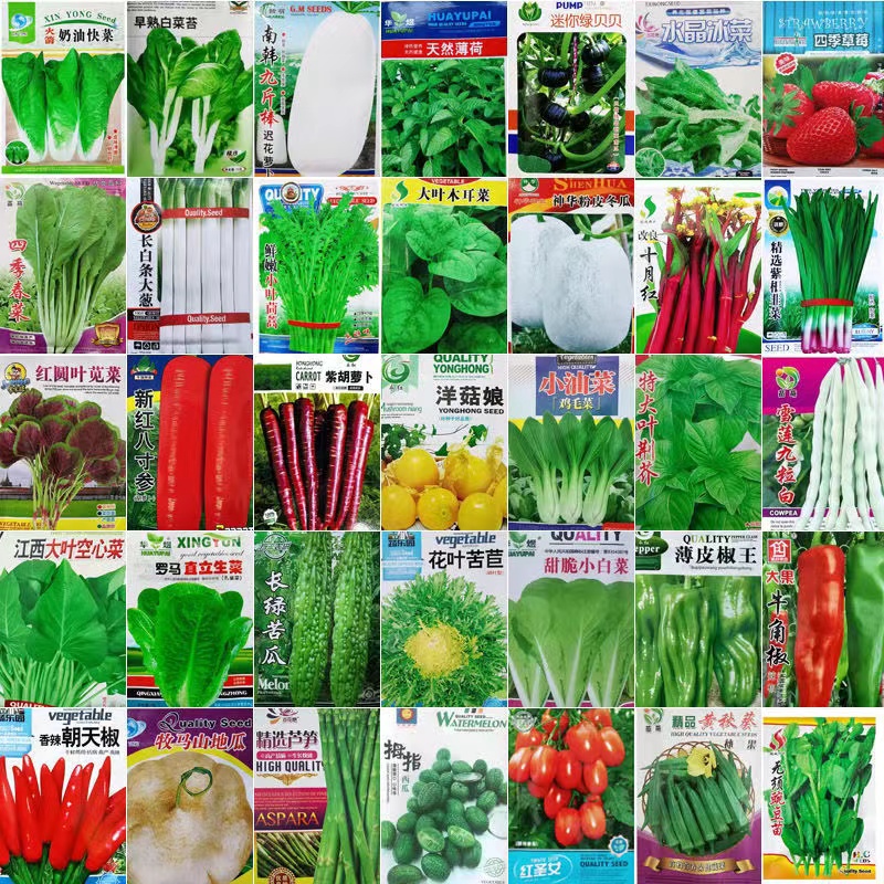 蔬菜种子适播种孑小葱香菜菠菜上海青家庭阳台盆栽露天小菜园种籽