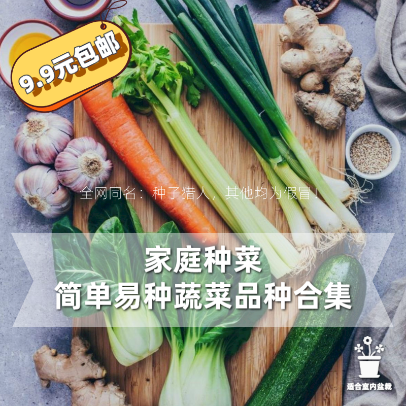 种子猎人国产小菜园合集生菜上海青小白菜樱桃萝卜秋冬四季蔬菜