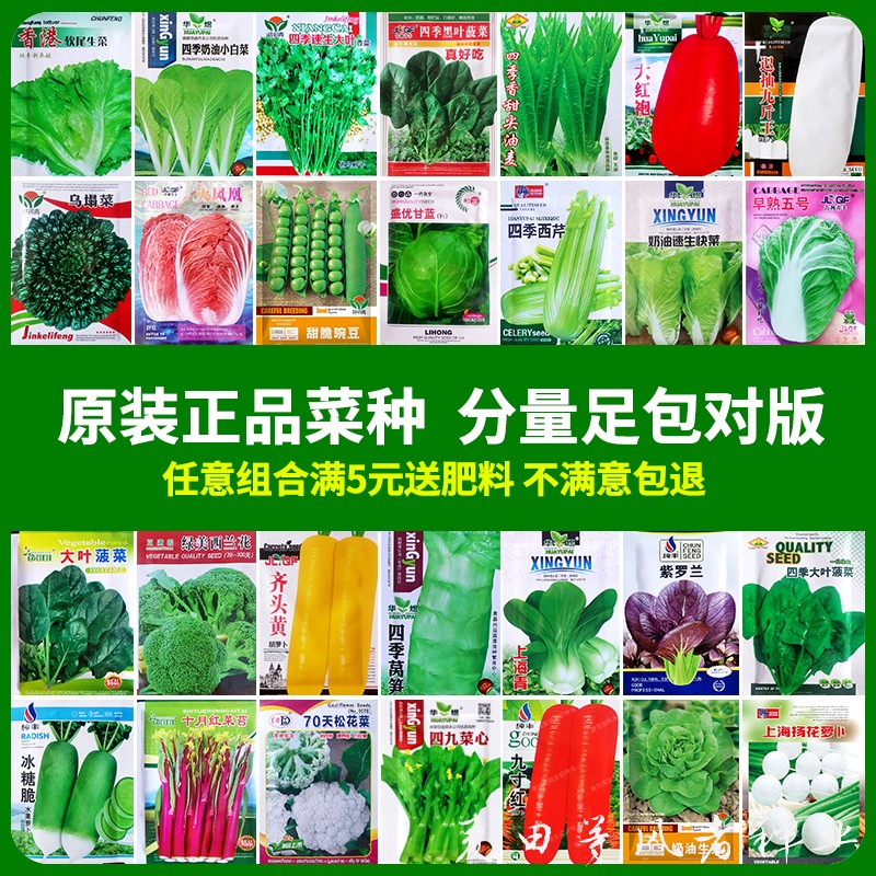 蔬菜种子大全四季阳台盆栽香菜生菜上海青西葫芦葱黄瓜辣椒种籽孑