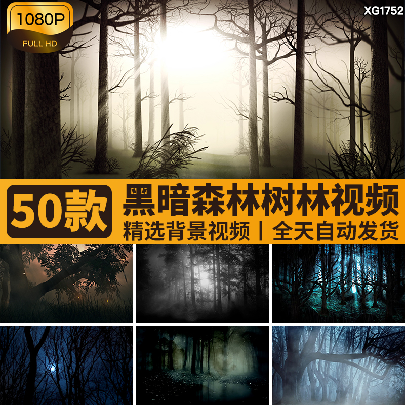 恐怖黑暗夜晚上黑夜森林迷雾幽暗神秘树林万圣节LED背景视频素材