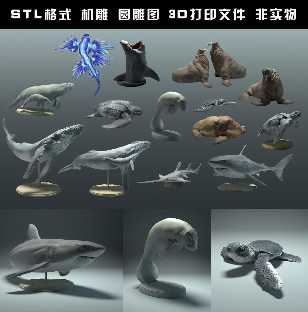 海洋生物动物鲸鱼鲨鱼海龟海象圆雕图STL文件3D打印模型图纸合集