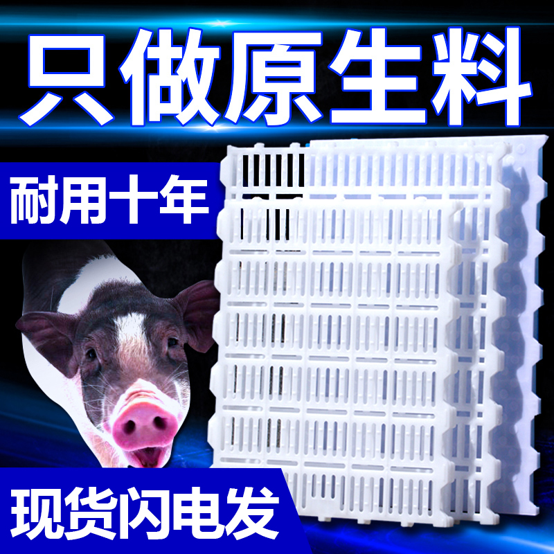 塑料漏粪板猪鸡鸭羊用漏粪板养殖场设备实心加厚兽用保育床漏缝板