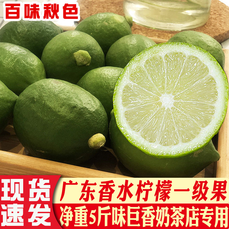 广东香水柠檬无籽青柠檬一级果新鲜当季水果奶茶店专用苦瓜果商用