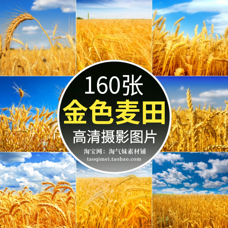 高清JPG金色麦田图片麦穗麦浪水稻小麦田地农田丰收自然风景素材